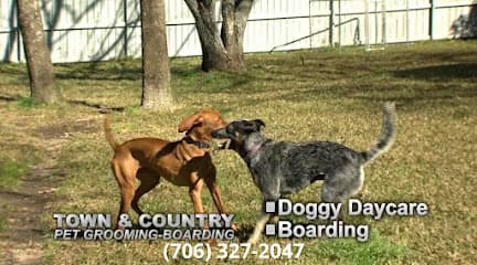 Town & Country Pet Salon