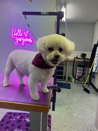 Christy's Canine Grooming