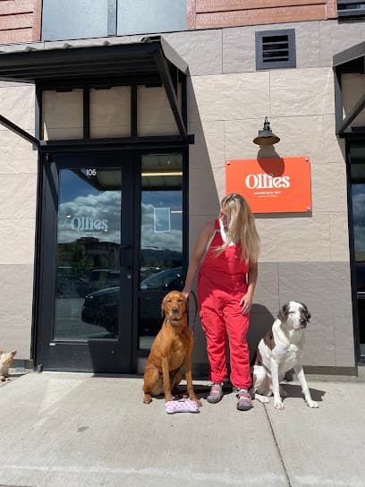 Ollie's Mountain Pet Supply & Wash