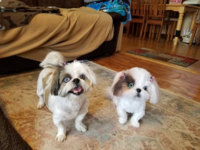 Beech Grove Pet Grooming & Jeff's Mobile Grooming Inc.