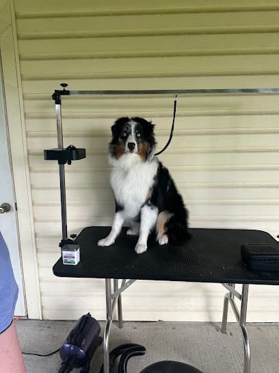 DogGone Good Groomin’