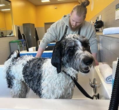 Pet Evolution - Arden Hills, MN - Grooming | Self-Wash | Healthy Food | Mobile Nail Trim