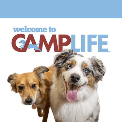 Camp Bow Wow Boulder