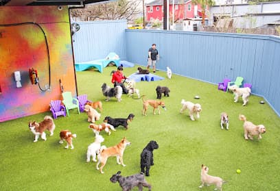 The Best Little Dog House In Texas