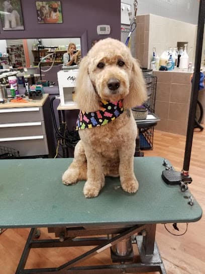 Paws 2 Groom