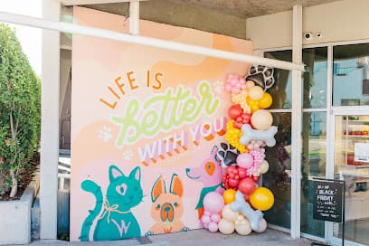 Elevate: Pet Boutique
