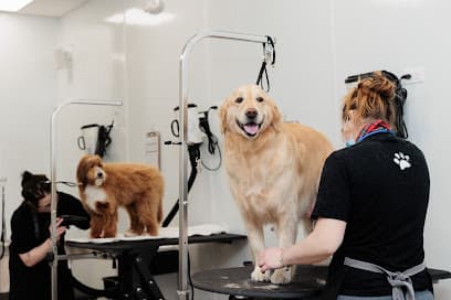 Bowie Barker South Loop