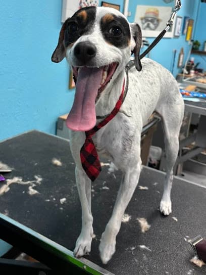 Betty's Dog Wash & Grooming