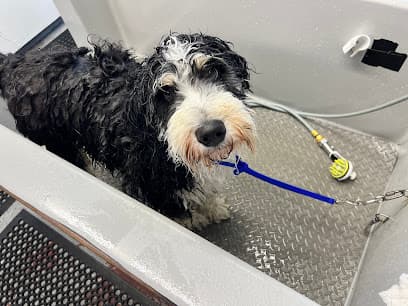 Suds 'Em Dog Wash