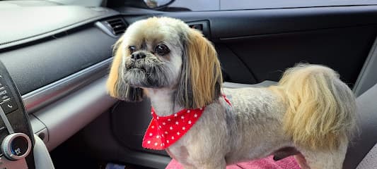 Lucky Dog Grooming