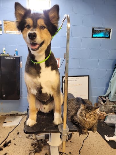 Happy Paws Grooming