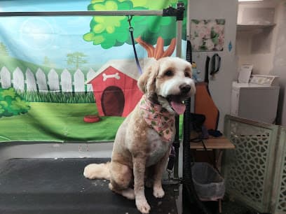 Diggity Dog Resort
