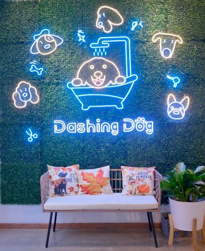 Dashing Dog - West Loop