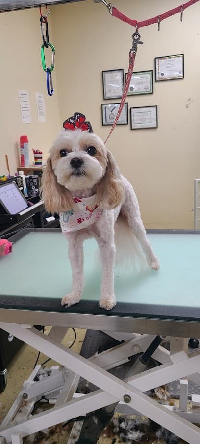 Baths Barks & Bubbles Pet Spa at The Ridge