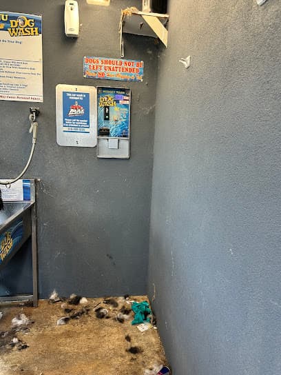Budget Car and Pet Wash
