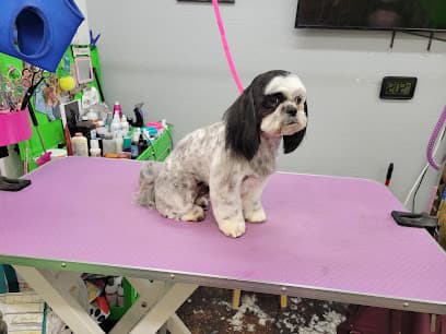 The Awesome Pawsome Pet salon & supply