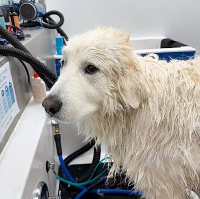 Pet Evolution - Woodbury, MN - Grooming | Self-Wash | Healthy Food | Mobile Nail Trim