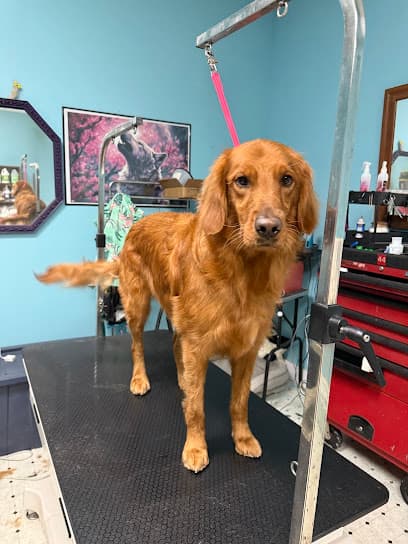 Kaylee's Lavish Grooming LLC