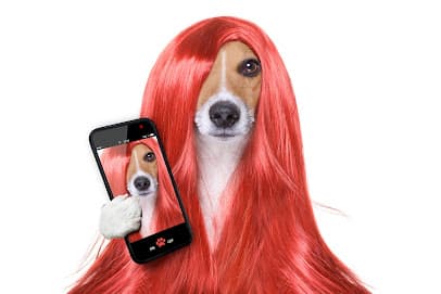 Barking Beautician