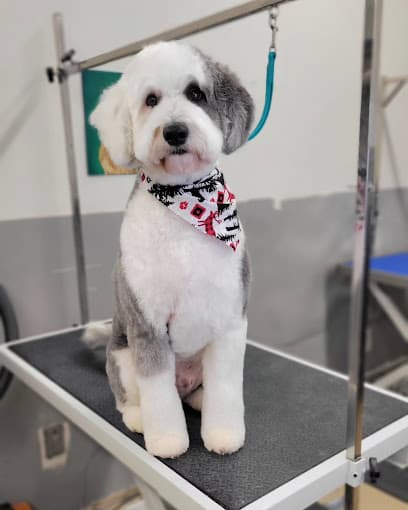 Fluff'd Grooming + Bowser's Bath