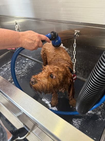 Carmel Groom & DIY Dog Wash