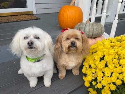 Shar-Jo's Pet Styling & In-Home Pet Sitting