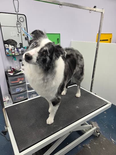 Nature's Design Dog Spa | Pet Groomer