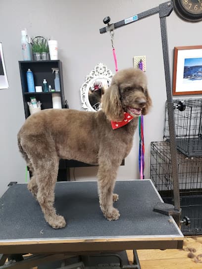 Spoiled Petz Grooming