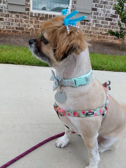 K9 Wash N Groom LLC