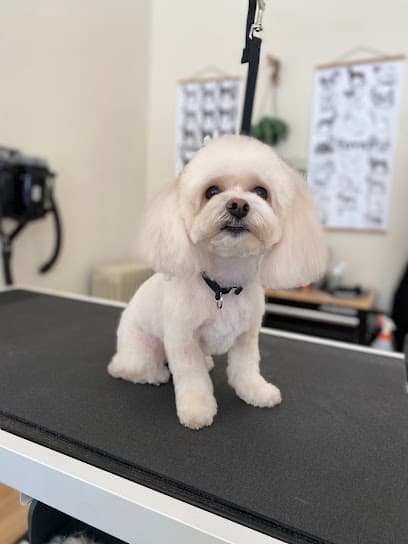 Groom and Grow Pet Salon