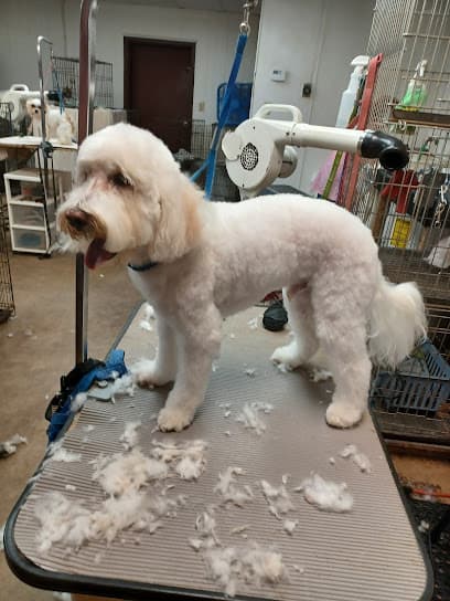 Darlene's Dog Patch