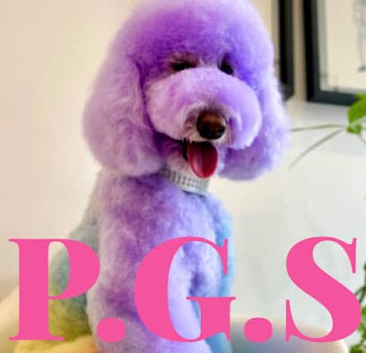 P.G.S Pet Grooming Salon