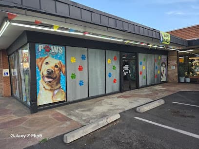 Paws 48 Dog Wash & Gym