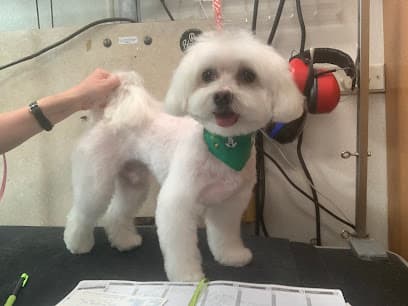 Fur de Leash Mobile Grooming
