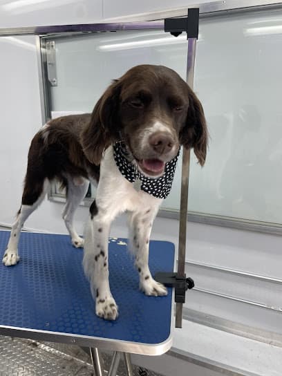 Beaux and Belles Mobile Pet Grooming