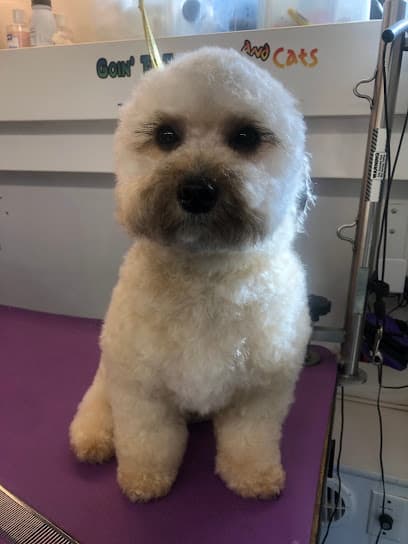 Goin to the Dogs and Cats Mobile Grooming and Pet Spa