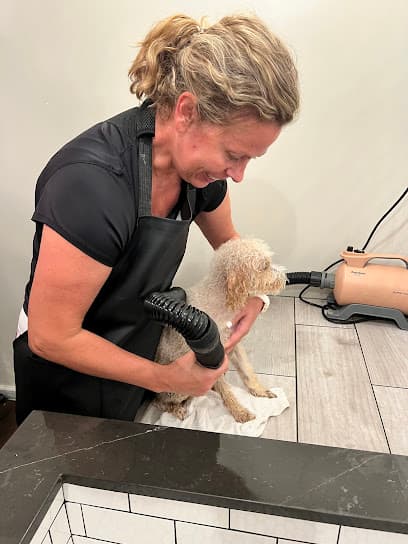 Scrub-A-Pup Self-Serve Laundromutt