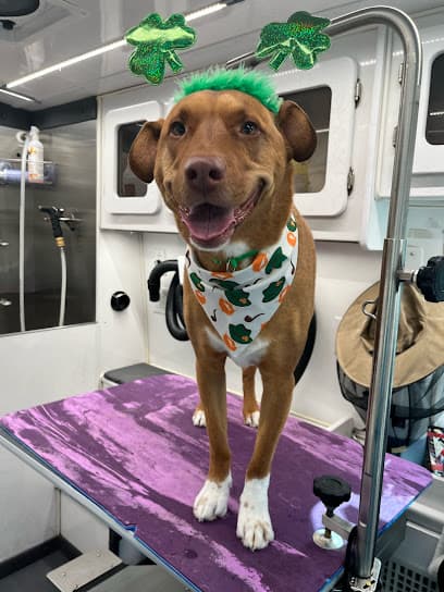 MOBILE DOG GROOMING | Rainbow Grooming | Highlands Ranch, CO